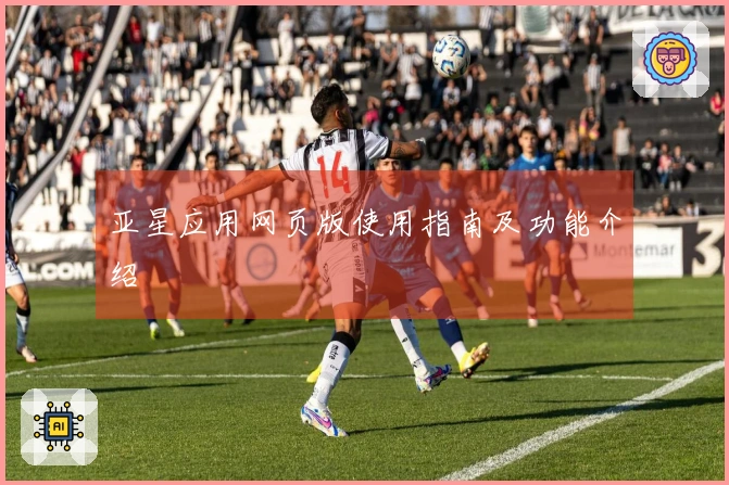 亚星应用网页版使用指南及功能介绍
