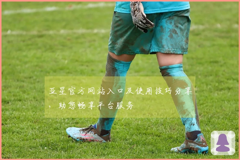 亚星官方网站入口及使用技巧分享，助您畅享平台服务